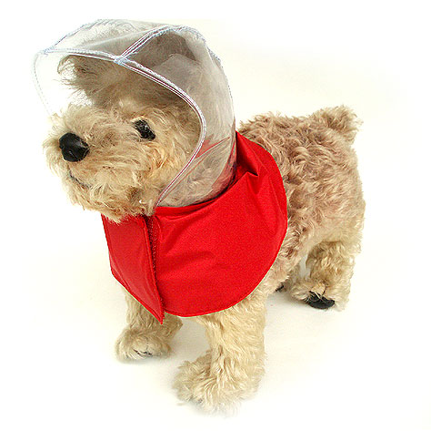 Rover Rain Hat